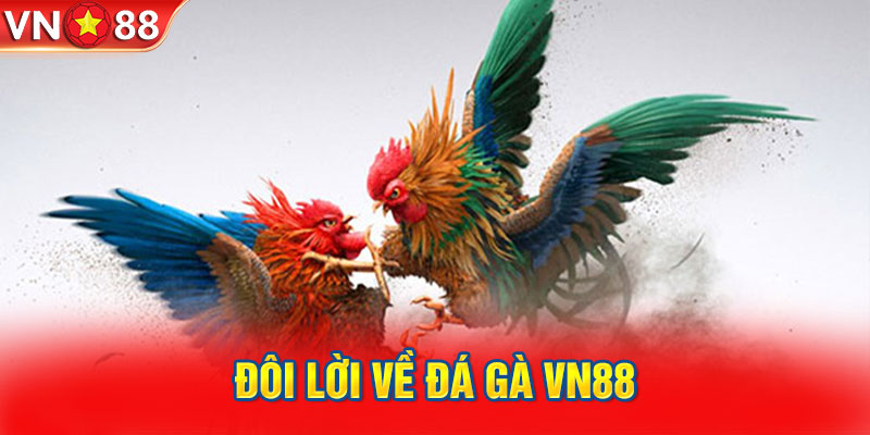 Đôi lời về Đá gà VN88