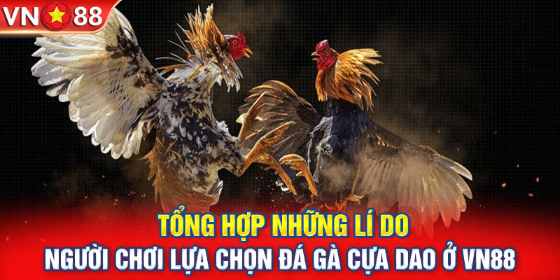 Tổng hợp những lí do người chơi lựa chọn đá gà cựa dao ở VN88